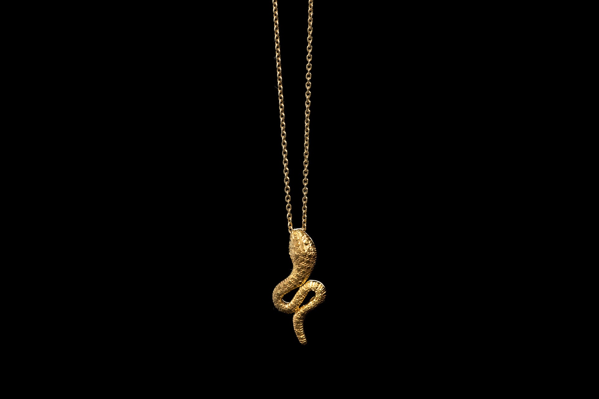 Golden snake